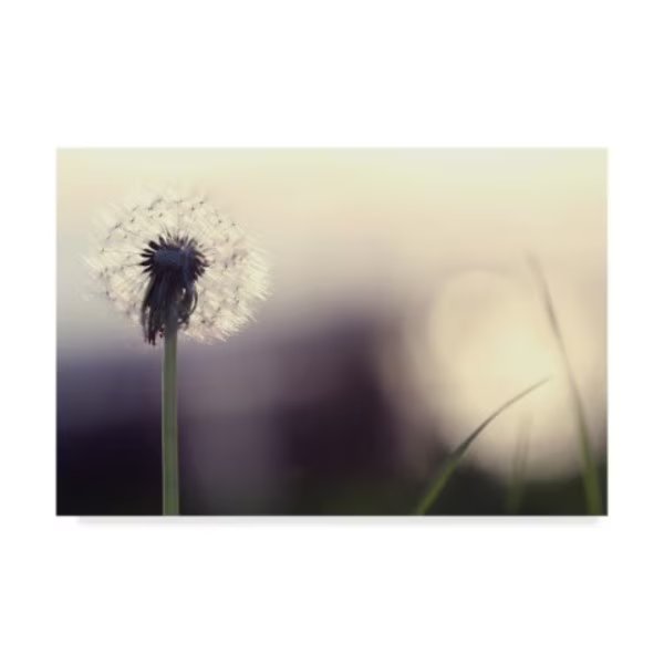Incredi 'Without You' Canvas Art, 22x32, Trademark Fine Art, Mfr#: ALI35932-C2232GG
